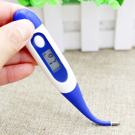 Digital Electronic Waterproof Thermometer - Eshtree