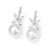 Women's Zirconia Micro-inlaid Elegant Earrings