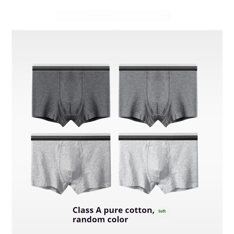 New Men's Underwear Cotton Class A Cotton Summer