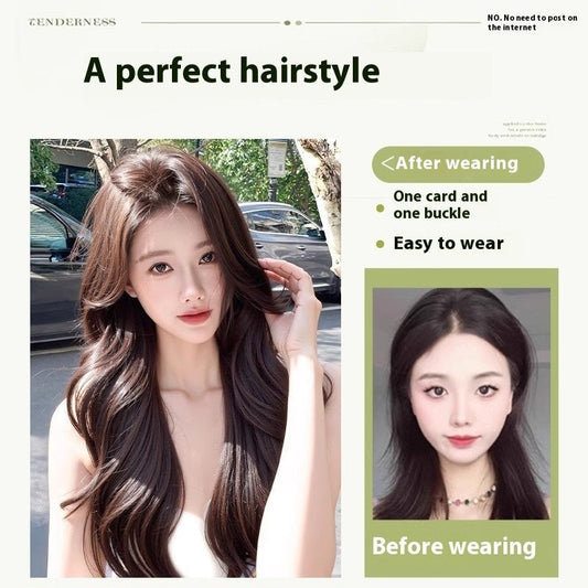 Hairfree Mesh Wig Female Traceless Ventilation Wig - Eshtree