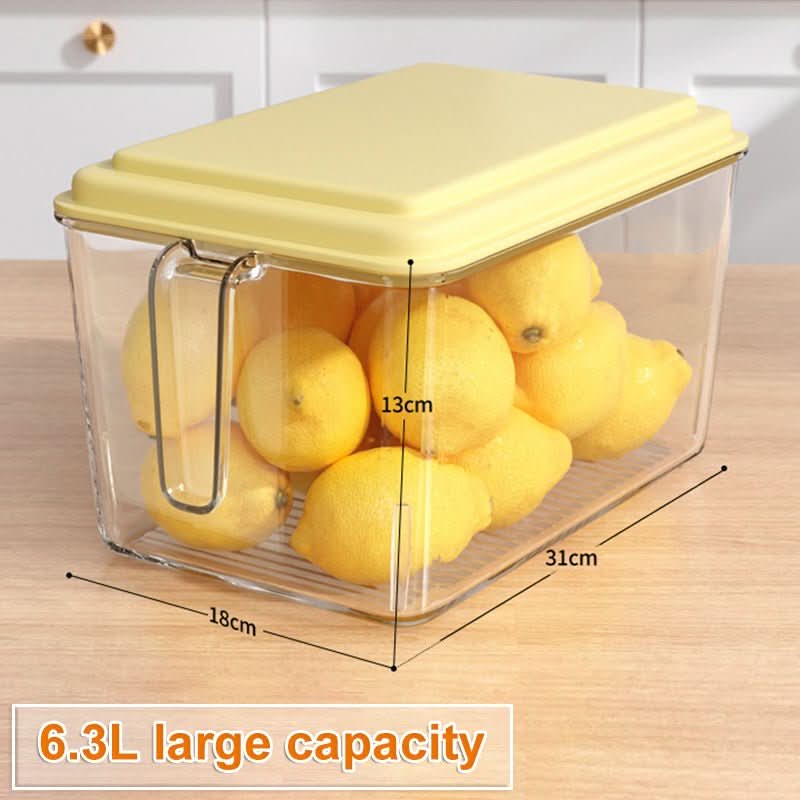 Kitchen Refrigerator Food And Vegetable Preservation Large Capacity Storage Box - Eshtree