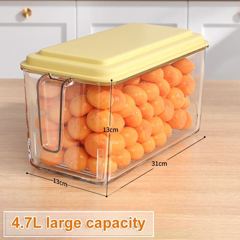 Kitchen Refrigerator Food And Vegetable Preservation Large Capacity Storage Box - Eshtree