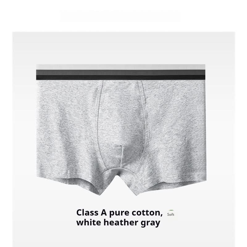 New Men's Underwear Cotton Class A Cotton Summer - Eshtree