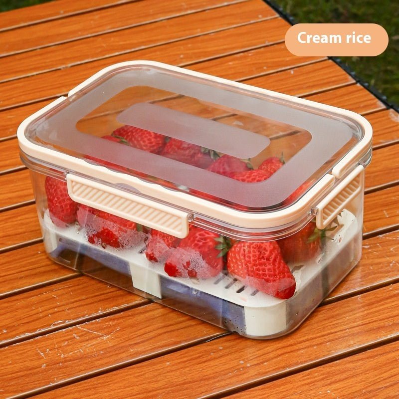 Portable Draining Vegetables Refrigerator Crisper Outdoor Picnic Basket Snacks Fruit Storage Box - Eshtree