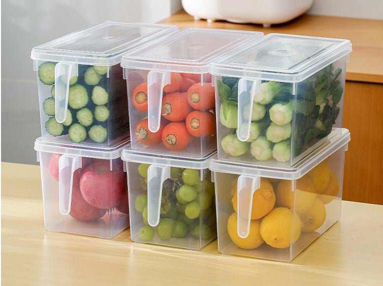 Refrigerator Hand - Held Multigrain Storage Box With Handle - Eshtree