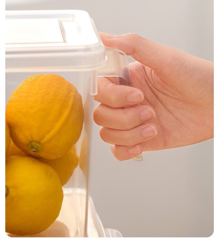 Refrigerator Hand - Held Multigrain Storage Box With Handle - Eshtree