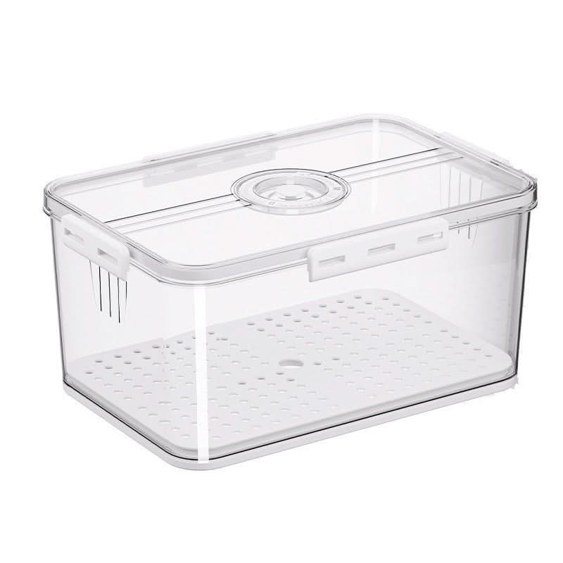Refrigerator Storage Box Plastic Kitchen Finishing Crisper - Eshtree