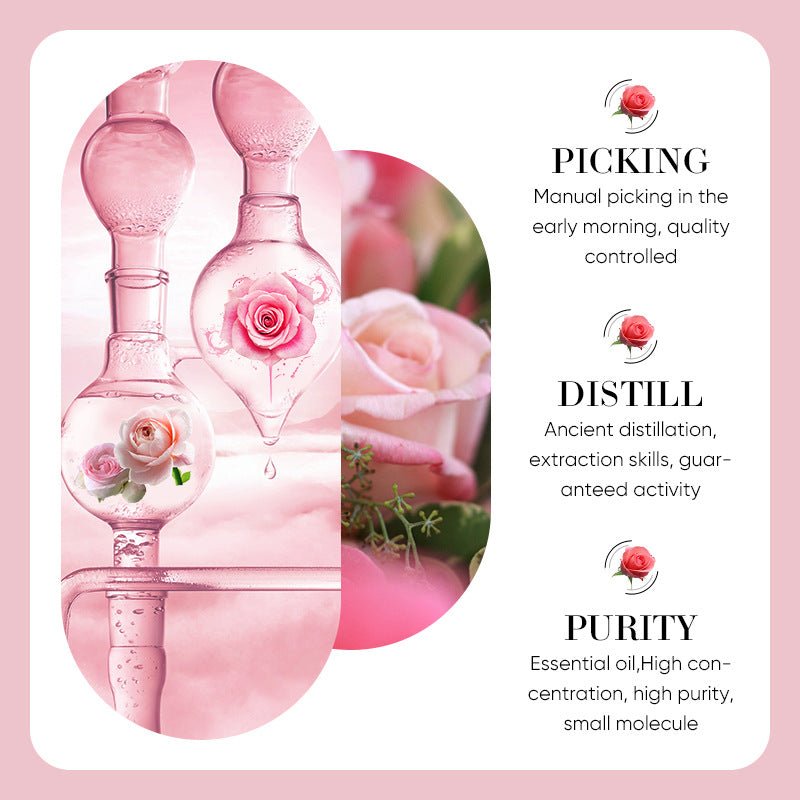 Rose Essential Oil Moisturizes The Body With Whitening Skin Colors - Eshtree