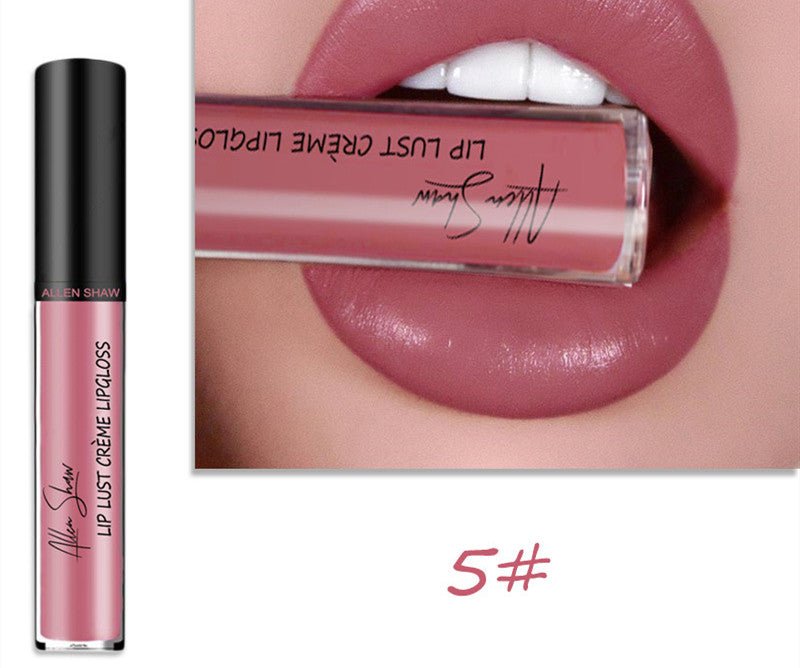 Silky Cream Texture Lip Gloss Aliexpress Shopee Cross - Border Exclusive Lip Glaze Lip Gloss Lipstick - Eshtree